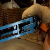 sack detection project thumbnail