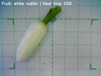 Fruit data project thumbnail