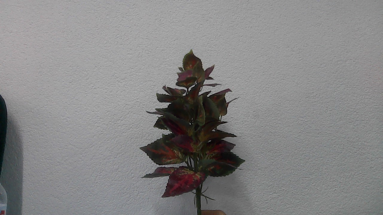 renci (renci-fefwt) - Roboflow Universe