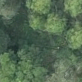 Tree crown detection Instance Segmentation Model by Laba
