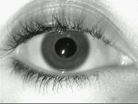 iris project thumbnail