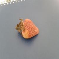 dataset11 project thumbnail