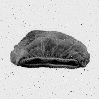 HAIRNET project thumbnail