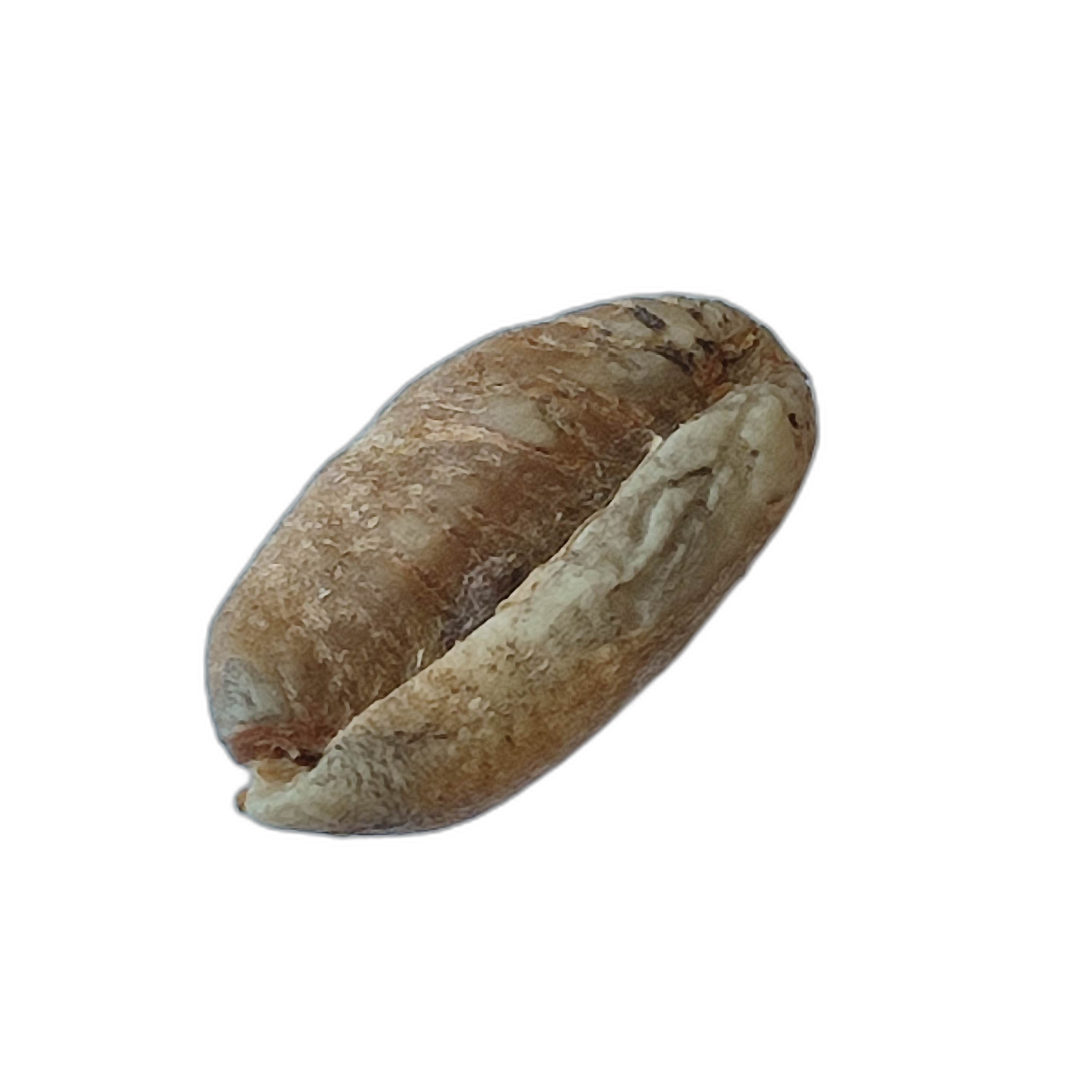 mamam-dev-roboflow-universe