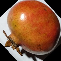 Fresh_Pomegranate project thumbnail
