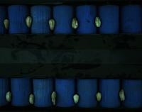 cashews_new project thumbnail