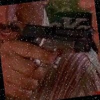 Dataset Image