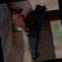 Dataset Image
