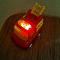 Dataset Image