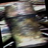 Dataset Image