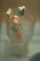 COCO-128-test project thumbnail