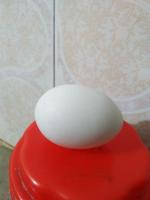 cracked egg  project thumbnail
