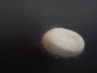 cocoon_segmentation project thumbnail