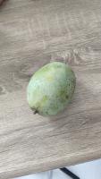 Buah Mangga project thumbnail