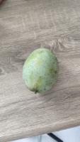 Buah Mangga project thumbnail