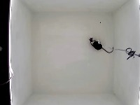 18aatt_MLRR_OF_An001 project thumbnail