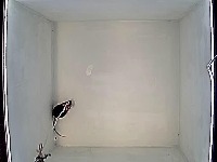 OF_wholemouse_8May2024 project thumbnail