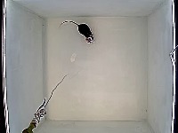 21attMLE6,7examplesfortestingdet project thumbnail