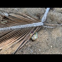 trash detection project thumbnail