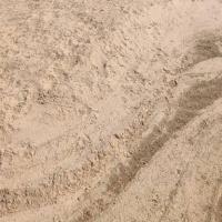 AI Detect All project thumbnail