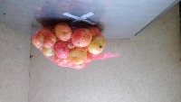 sub10_tuber_lateral project thumbnail