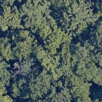 test_bounding_box project thumbnail