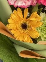 Flower Classification project thumbnail