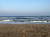 Sea wave detection project thumbnail
