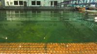 wave detection project thumbnail