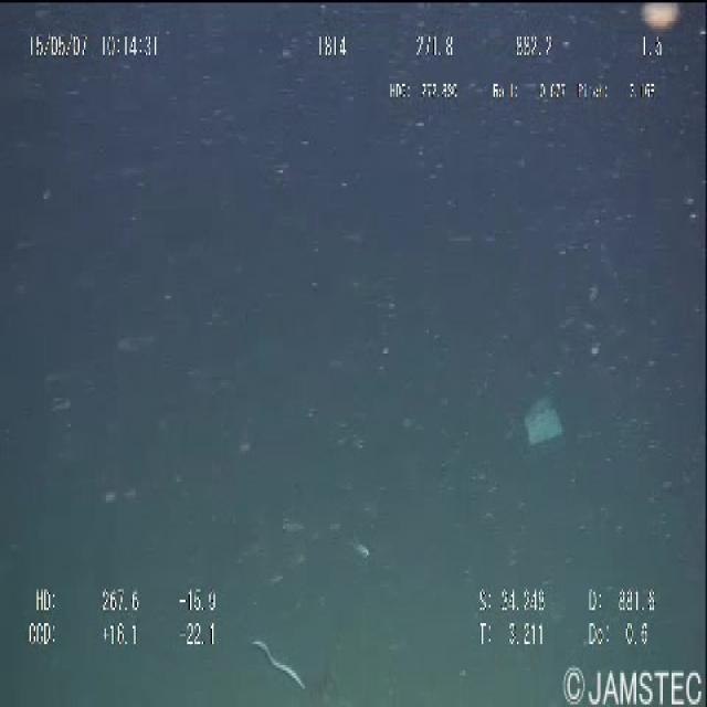 test (test-emlk1) - Roboflow Universe