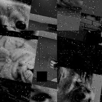 Dataset Image