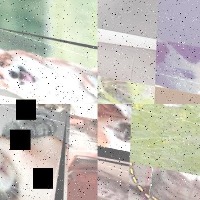 Dataset Image