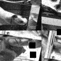 Dataset Image