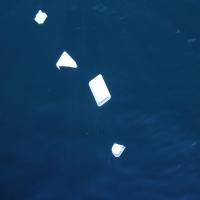 Underwater-Trash-Detection project thumbnail