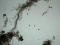 MBR_MI_2 project thumbnail