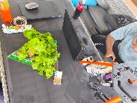 Lechuga project thumbnail