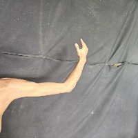 Human Arm Pose Keypoint Detection Dataset by Origo NITC