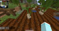 garlic project thumbnail
