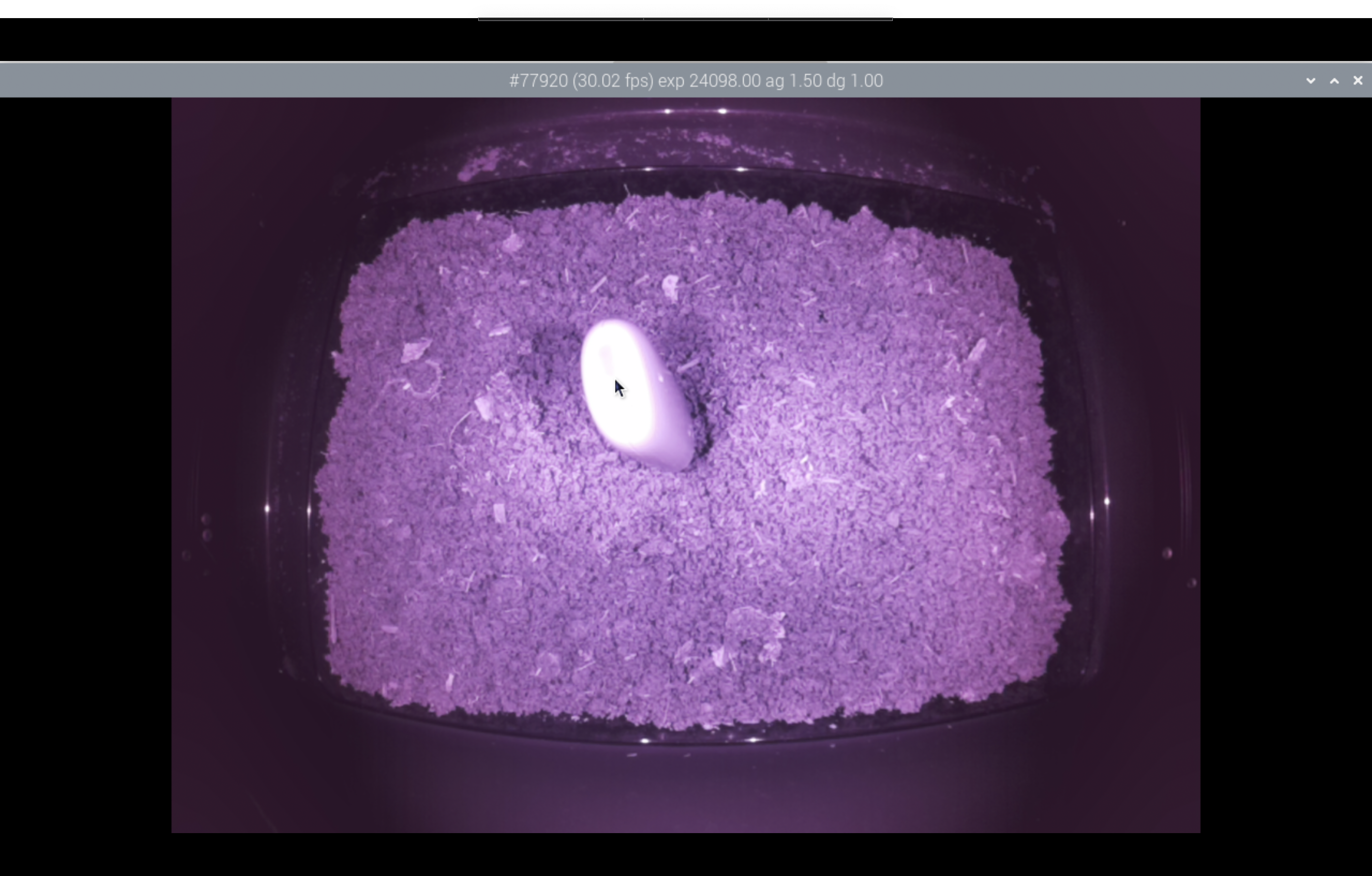 Negative Object Detection Model by negative