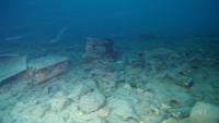 detect underwater3 project thumbnail