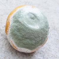 Fruit Quality Detection project thumbnail