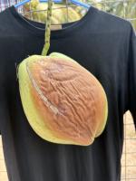coconut final project thumbnail