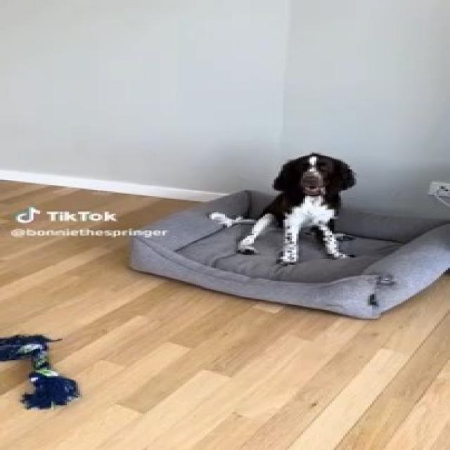 zey (zey-jiaxo) - Roboflow Universe