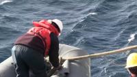 RHIB 3 project thumbnail