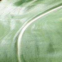 maize_health_leat project thumbnail