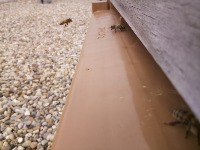 beekeeping_step1 project thumbnail