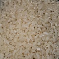 Rice Classification 01 project thumbnail