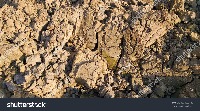 soil classification project thumbnail