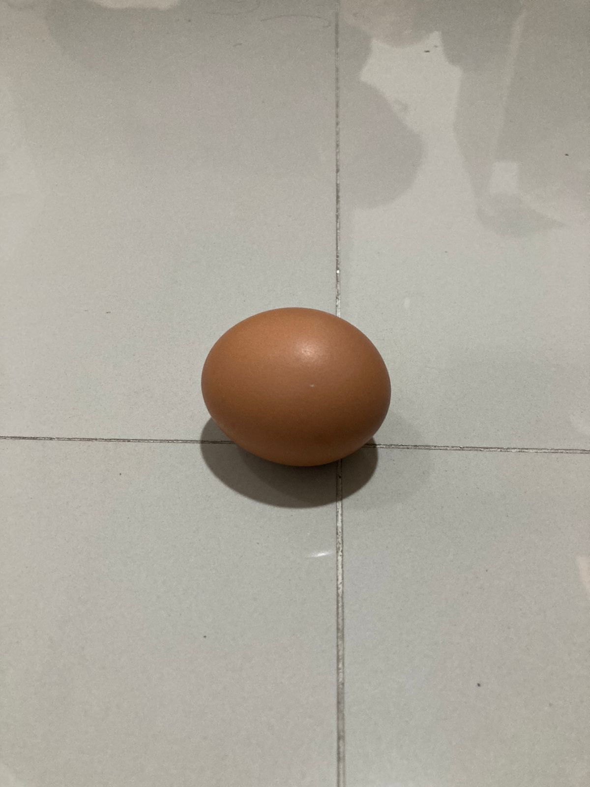 telor Object Detection Model by Far