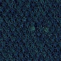 palm-googlemap-manual-test project thumbnail